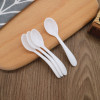 Plastic small fruit spoon for ice cream, ice cream