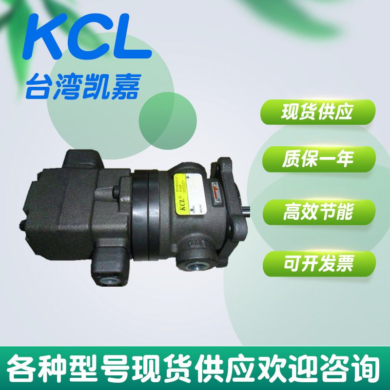 台湾凯嘉KCL VQ25-43-F-RAA-01 平板硫化机液压泵总成小型