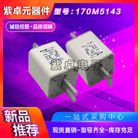 Bussmann熔断器170M6142 170M6143 170M6144 170M6145 170M6146