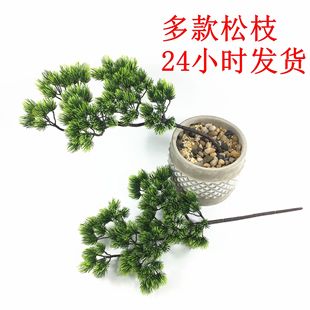 �S�����l����ֲ��ӭ���� �������Ϸ�����֦ ����ʽ��ˇ�OӋ�°��~