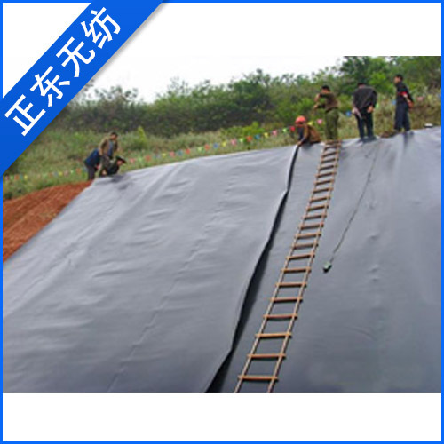 供应上海工程施工公路施工用土工膜土工布