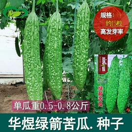 蔬菜种子;其他园林资材