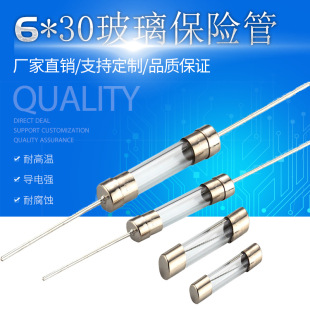 6X30 Glass Fuse Slow Break Type Glass Fuse 10A 250V Switching Power Supply Fuse
