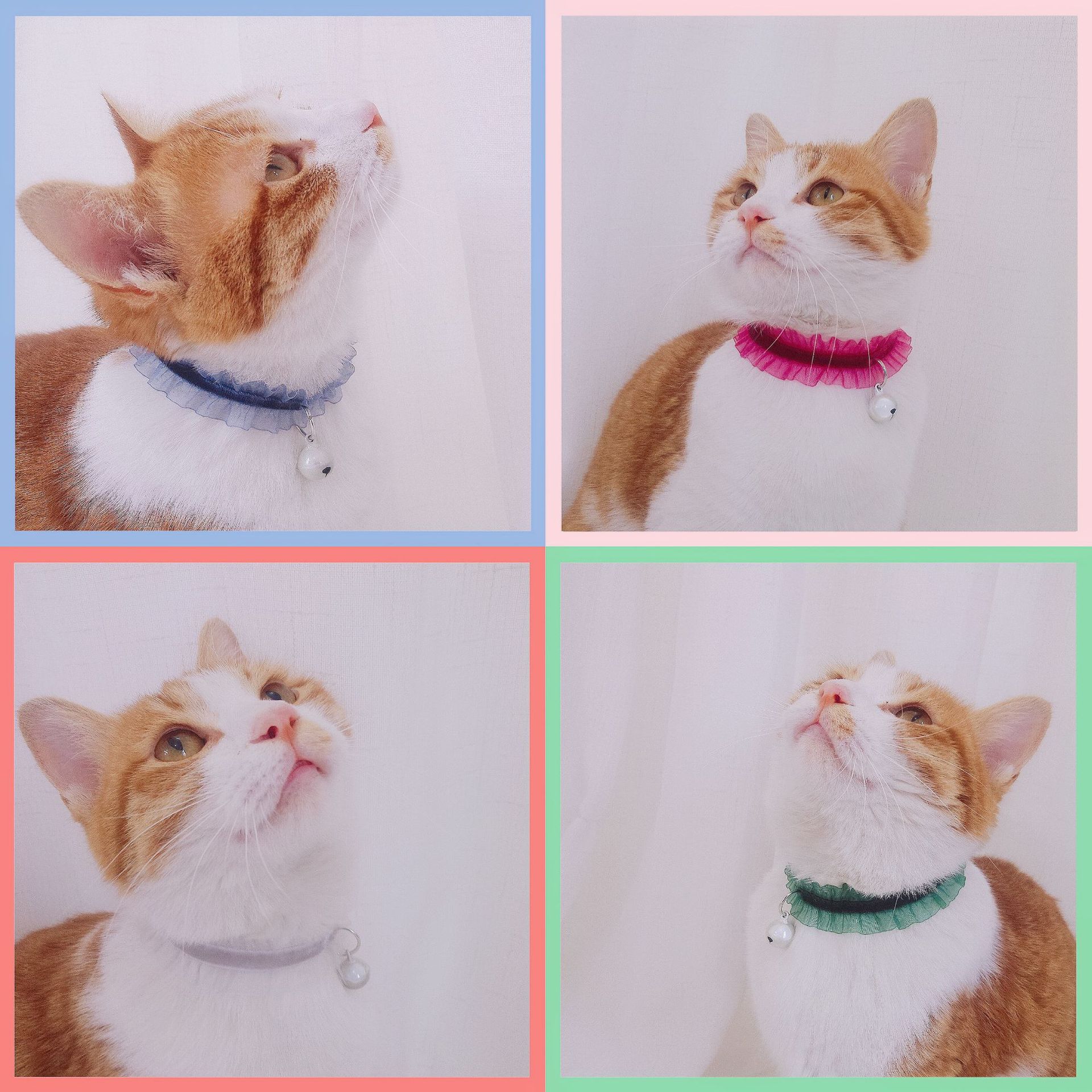 Cordillera de terciopelo elástico ajustable mascota collar campana perros gatos conejos collar perros