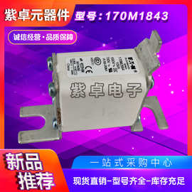 170M3008 170M3009 170M3010 170M3011全新Bussmann熔断器 保险丝