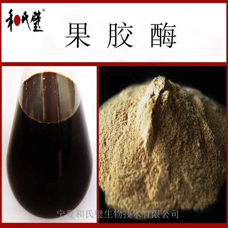 供应粉末/液体食品级果胶酶（3万u/g）