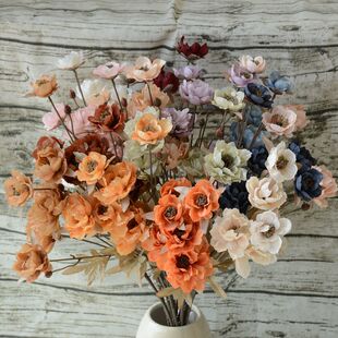 ����Сĵ������ɫܽ�ػ�c�bW�t����Y����Y��ܛ�b���Ľ���