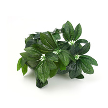 Sl Gֲ9^G_ľҾӾ^zӰֲbСֲ