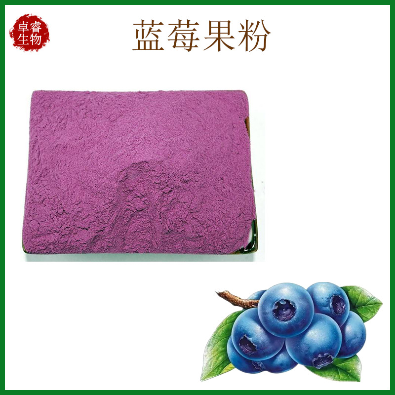 蓝莓粉 SC厂家供应喷雾干燥食品级蓝莓提取物 蓝莓果粉