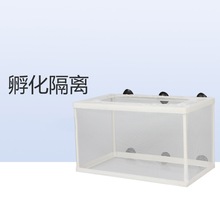 槽繁殖箱孵化器孵鱼隔离盒网繁殖箱鱼网 大号孵化盒