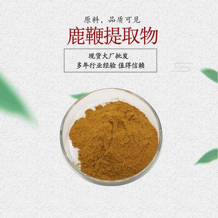 鹿鞭提取物10:1 鹿鞭肽 鹿鞭冻干粉
