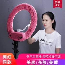 其他美容仪器;美容喷雾仪;闪光灯