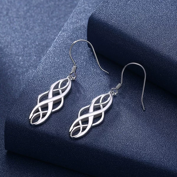 Jinrongxing Silver-Plated Jewelry Popular Twisted Geometric Shape Women's Earrings Earrings 925 Words