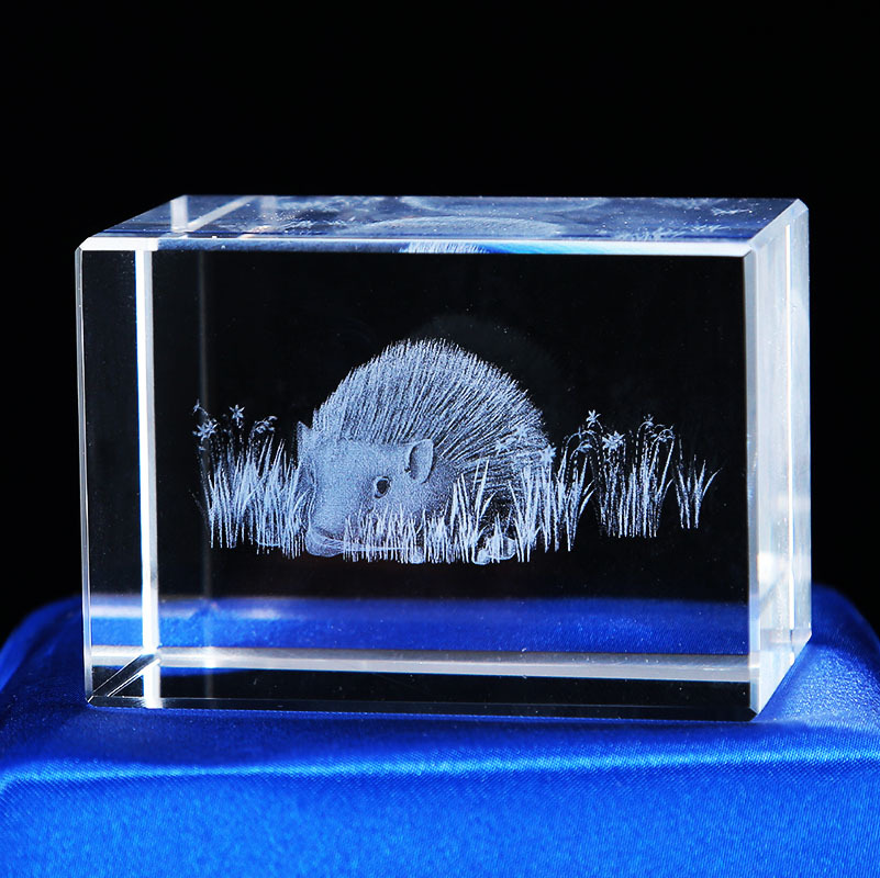 Pequeño puente 3D tallado interior adornos de cristal dinosaurio tortuga tigre águila modelo animal recuerdo del océano