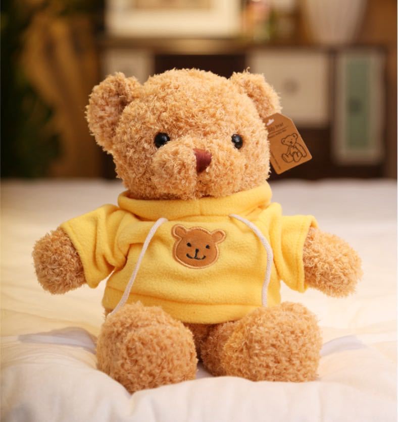 Suéter de color, muñeca de oso, oso de peluche, juguete de peluche, muñeca de oso, vestido de oso, pedido de oso, lote de regalo LOGO