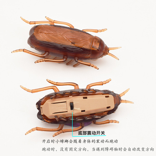 Creative funny toys vibrating crawling cockroach electric Xiaoqiang electronic cockroach mouse spider street stall toys wholesale