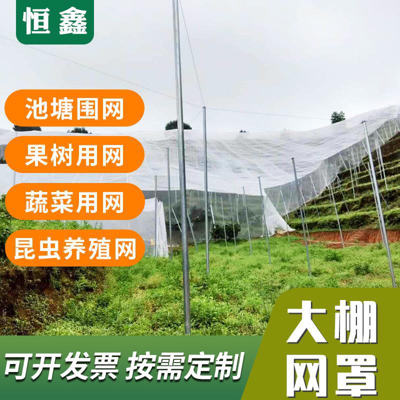厂家现货防虫网 防虫防蚊专用用网 生产大棚蔬菜 防虫网罩
