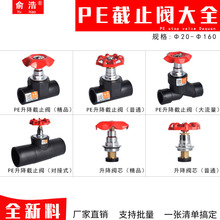 PE截止阀升降对接式承插式20 25 32大流量阀芯PE管件给水管材热熔