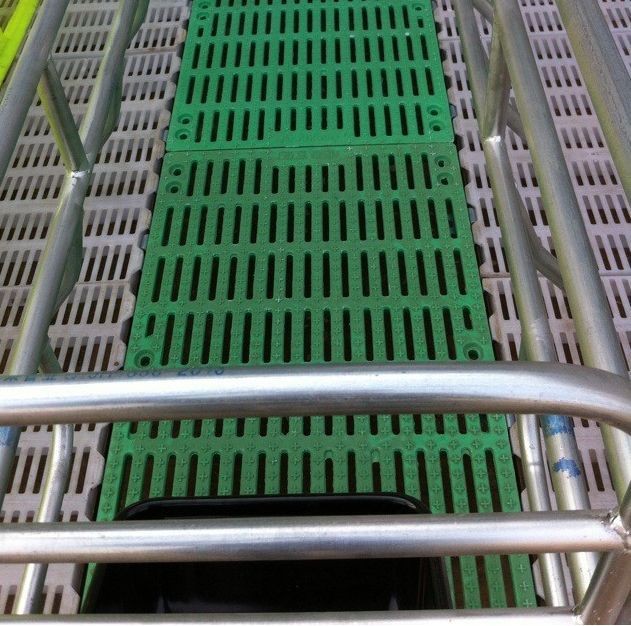 供应猪产床  母猪分娩床 猪笼 复合产床 母猪BMC复合板 双体全带