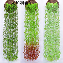 ����5��115cm�ȼ����촹��ڒ��b��ٗl�Gֲ���洹���b������l