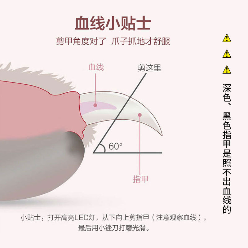 Directo de fábrica para mascotas cortaúñas Enviar archivo de luz LED línea de sangre perro uñas belleza alicates tijeras de acero inoxidable