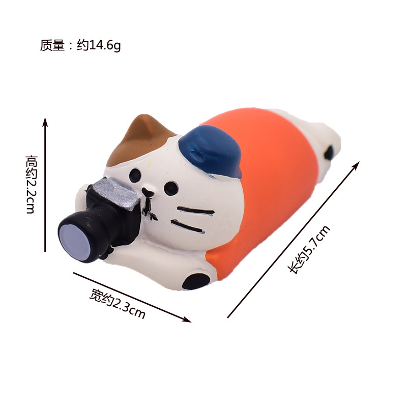 사진 고양이