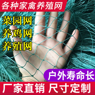 �����Bֳ�Wɽ�u�W�B�u�W�����W�r�u���W���B�W�o�ھW����W���پW