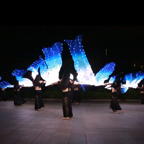 Dancer LED white and blue luminous fan dance performance performance luminous props colorful belly dance luminous fan