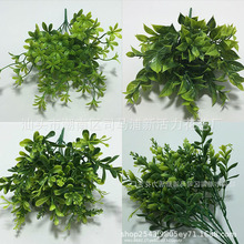 �S�����l����Gֲ ���� Խ�۲� ��ѿ������ �Gֲ����Ҿ��b�