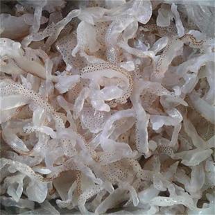 ���l���خa��ɺ�����߷Ǽ�ʳˬ������˺��ؽz�oɳ����Ƥ20��Ͱ�b