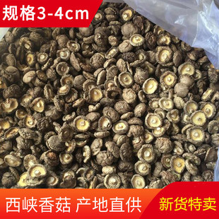 ��؛���{�㹽��؛�a��ֱ�l���񹽱����������lɢ�b�㹽�ɼ������