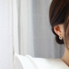 South Korean sophisticated goods, zirconium, brand earrings, micro incrustation
