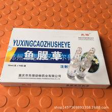 鱼腥草注射液 兽药常规水针剂 批发价厂家直销乡镇批发猫狗宠物