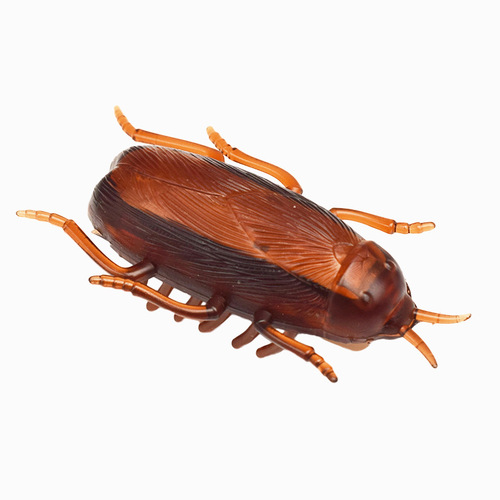 Creative funny toys vibrating crawling cockroach electric Xiaoqiang electronic cockroach mouse spider street stall toys wholesale