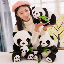 ���汧���Ӈ���С��؈���д���؈ë�q��߄�����ż������������