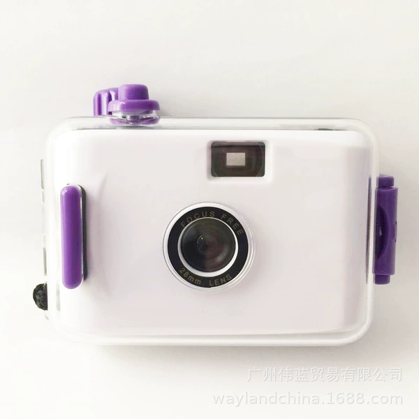 White purple shell