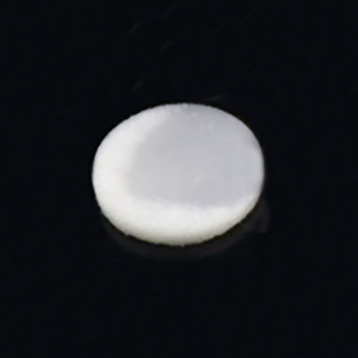 逗点生物亲水筛板Φ：4.9mm，H:1.6mm，孔径：50μm烧结过滤片