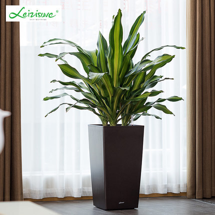 Laizhixiu perezoso maceta cuadrado grande pintura de piso de alta pierna olla auto-absorbente perezoso maceta al por mayor