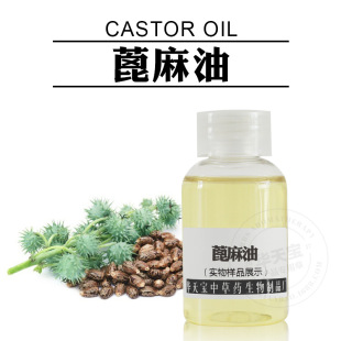 ������ Castor Oil �䉺ե�������� ��������ֲ����A��ֱ��