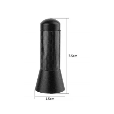 carbon fiber decoration car — vehicle antenna