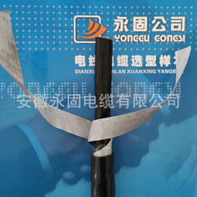 �S��ֱ�N KVVP22-10*1.5���˘O�ٰl؛䓎��z�b���ο�����|