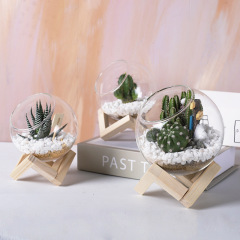Cute and creative succulent glass flower pot wooden frame ecological bottle micro landscape for Instagram foreign trade Amazon one-stop service 