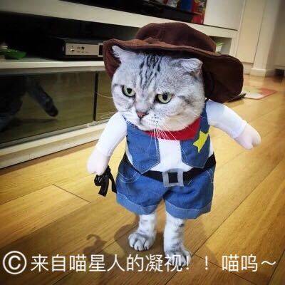Pet Dog and Cat Costume Denim Jeans Hoodie Halloween Costume Jumpsuit Puppy Clothes Funny Jacket