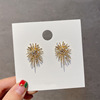 South Korean silver needle, advanced goods, sophisticated earrings, silver 925 sample, high-quality style, 2023