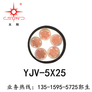 �S��ֱ��·���D�˾�YJV-5*25 �~о�F؛ �͉���ȼ�~о·����|