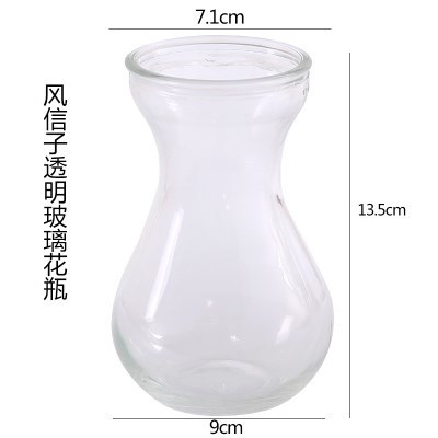 히아신스