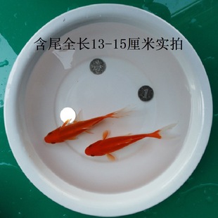 ���~���~��ˮ�~�^�p�~С�͵�ˮ���B�~��С���~���lС�~��ͯ����~