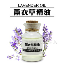 ޹²ݾ 1KG ޹² 挍޹²݆η Lavender Oil