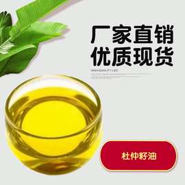 杜仲籽油 杜仲籽精油 植物精油