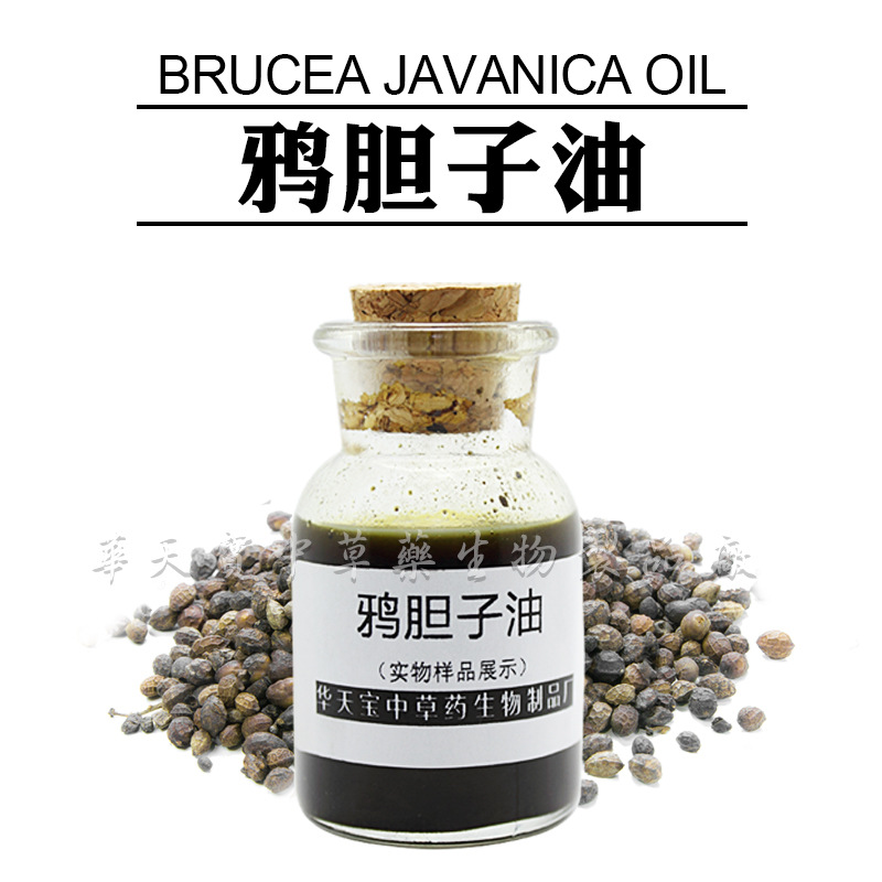 鸦胆子油 1KG 冷磨压榨鸦胆子仁油 苦参子油 老鸦胆油厂家